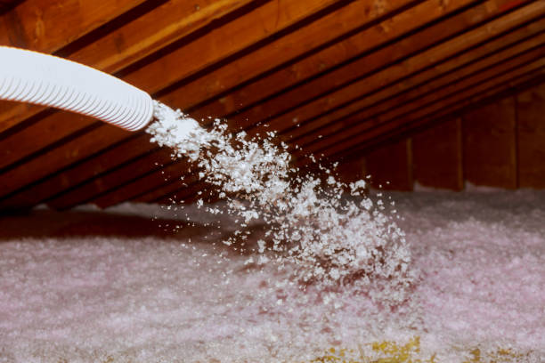 Best Specialized Insulation Services in Carpentersvle, IL
