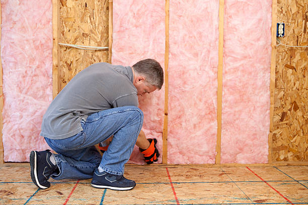 Best DIY Insulation Kits and Guidance in Carpentersvle, IL